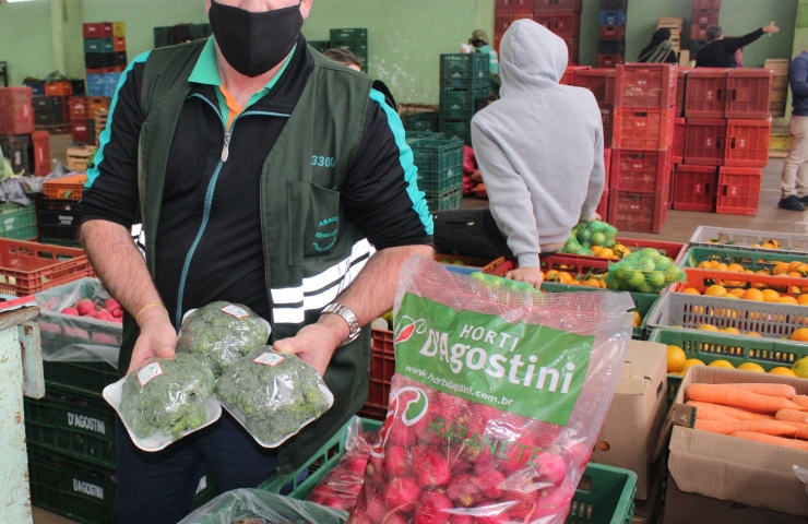 PLANTIO E CULTIVO